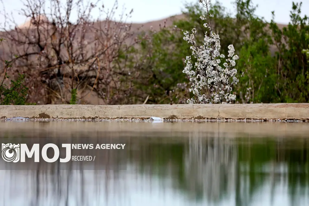 ایجاد کانون‌های توسعه گردشگری در روستاهای استان اردبیل پیگیری می‌شود