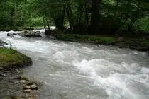 آبدهی رودخانه‌ها ۱۷ درصد افزایش یافت