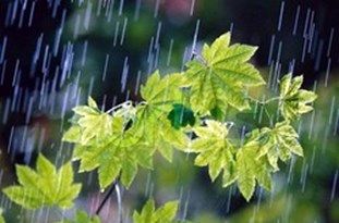 استان اصفهان ششمین استان کم بارش در کشور است