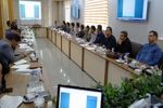 برگزاری دوره آموزشی سامانه نظارت بهداشتی در دامپزشکی استان مرکزی