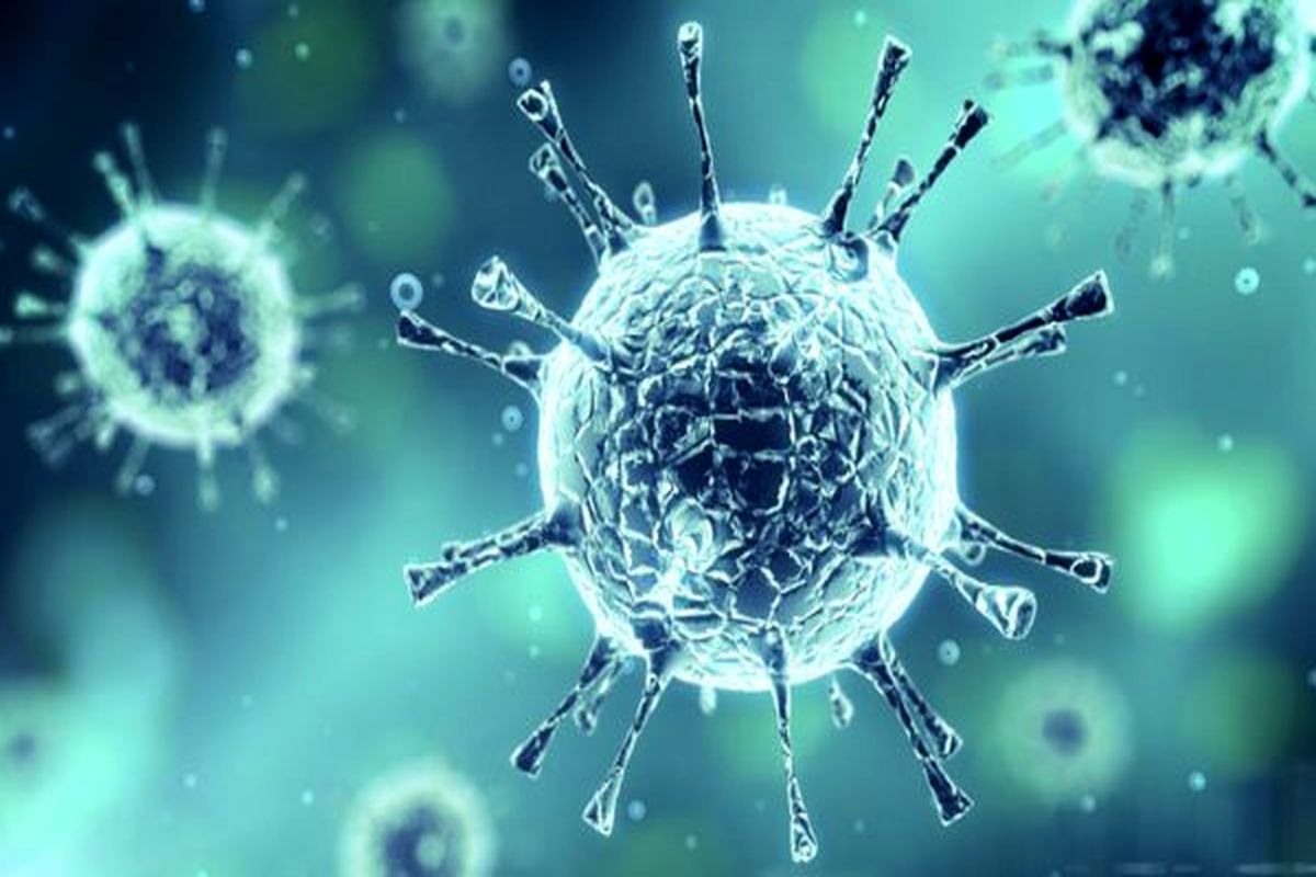 شناسایی آنتی‌بادی‌های سرکوب‌کننده ویروس کرونا توسط محققان
