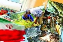 پرداخت تسهیلات اشتغال‌زایی  روستایی به ۱۴۰۳ مددجو در اصفهان