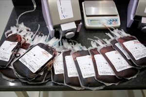 ۲.۵ میلیون نفر در اهدای خون مشارکت دارند