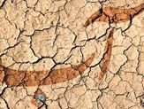 زنگ خطر تابستان سخت در ایران!/ راهکار خروج از بحران آب امسال چیست؟