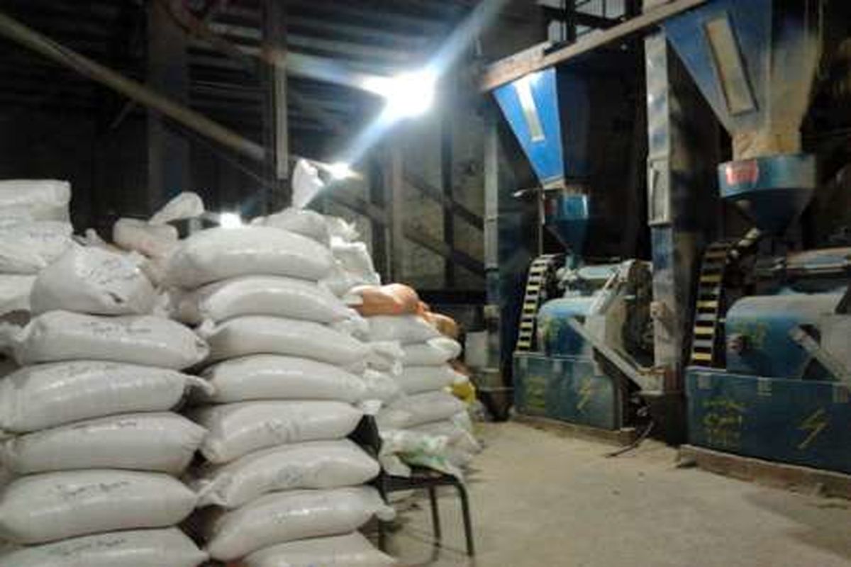 ضایعات 25درصدی برنج در دو سوم از شالیکوبی های مازندران