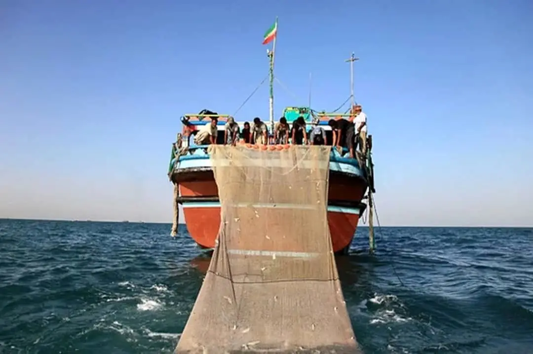 پایان موفق طرح دریابست میگو و آغاز فصل صید در هرمزگان