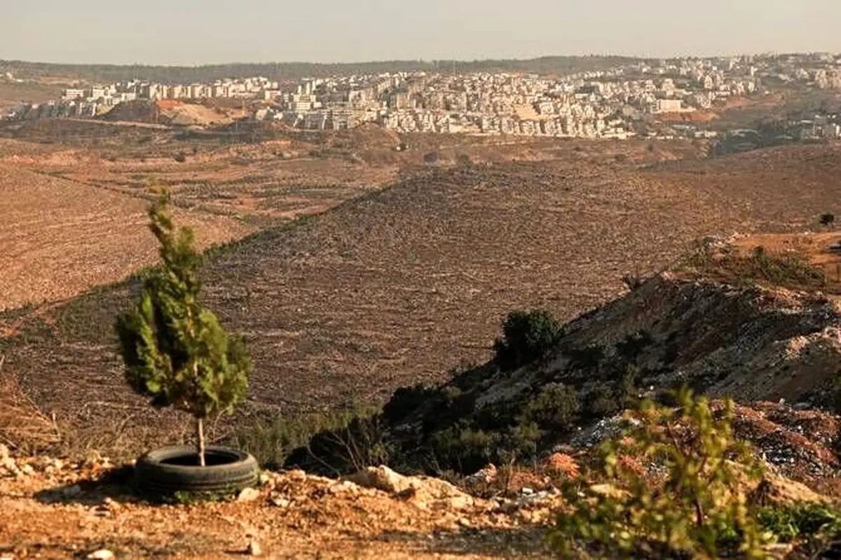 کرانه باختری