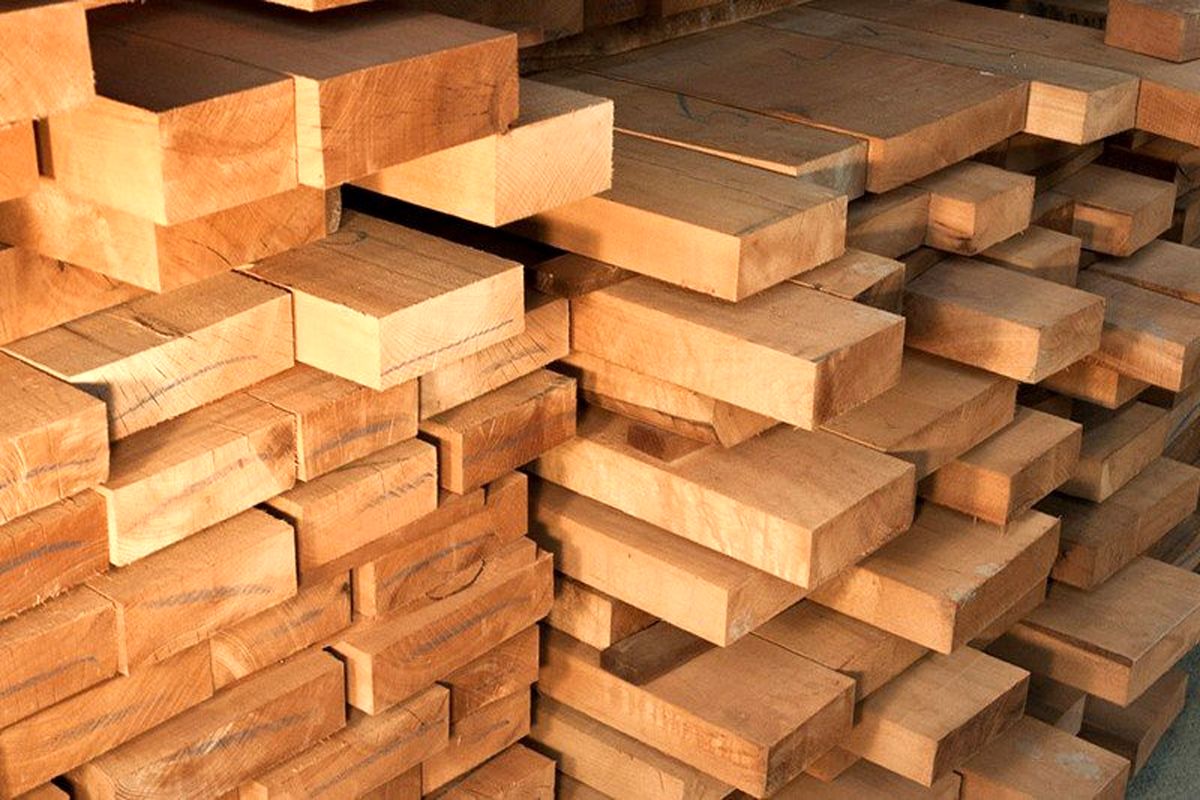 کاربرد چوب راش چیست و چگونه آن را وارد کنیم؟
