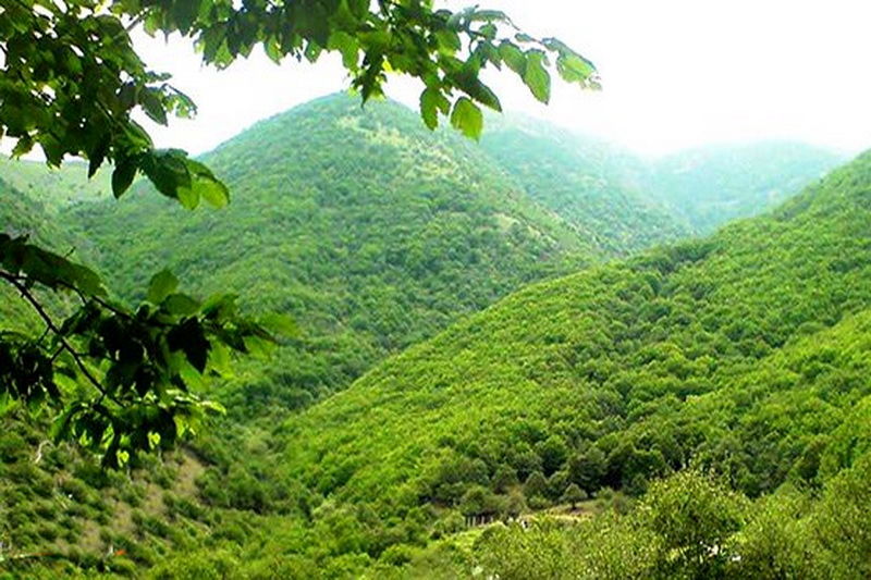 پایگاه میراث‌ طبیعی جنگل‌های هیرکانی تشکیل می شود
