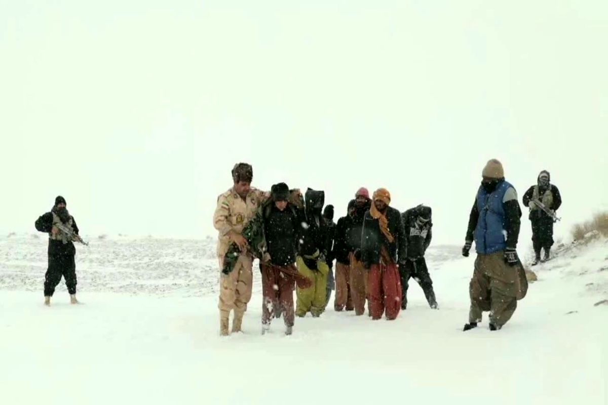 اتباع افغانی