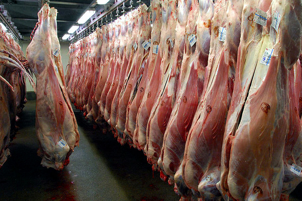 افزایش تولید گوشت قرمز در خراسان رضوی