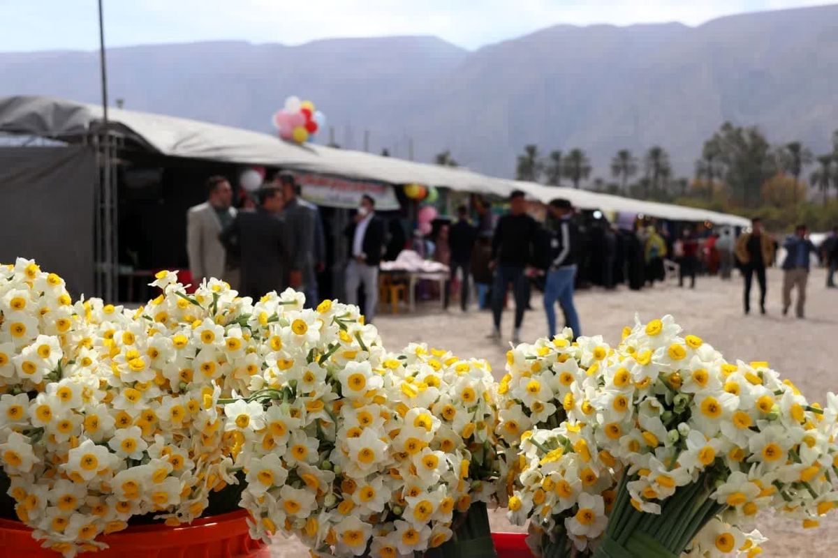 رویداد جشنواره گل نرگس خفر در تقویم رویدادهای گردشگری کشور ثبت شد
