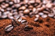کشف یک تن قهوه قاچاق در شهرستان شاهین شهر 