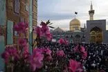 مولودی ولادت امام رضا علیه‌السلام با نوای سید مجید بنی‌فاطمه + صوت