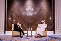 دیدار رافائل گروسی با عبدالله بن زائد در دبی