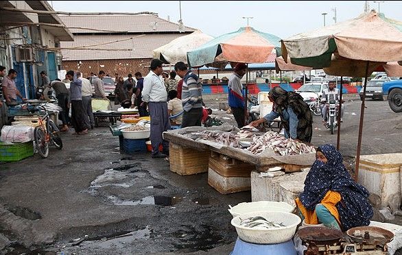 وضعیت فعلی عرضه و فروش آبزیان در شان بندرعباس نیست