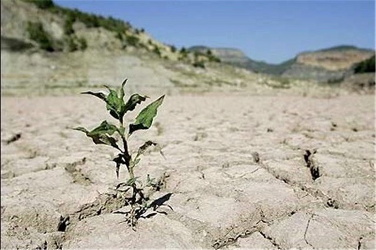 کاهش چشمگیر باران، در سال زراعی جاری خراسان رضوی