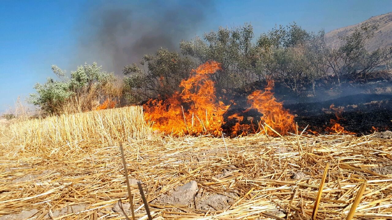 آتش سوزی در  زمین های کشاورزی ایذه