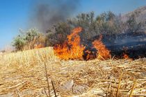 آتش سوزی در  زمین های کشاورزی ایذه