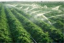 روش‌های آبیاری نوین در کشاورزی هرمزگان جدی گرفته شود