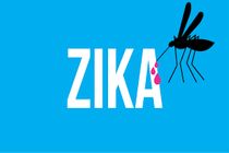 یک میلیون و ۶۰۰ هزار زن باردار مبتلا به ویروس زیکا هستند