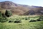 تصرف اراضی طبیعی، زنگ خطر برای تنوع زیستی کردستان
