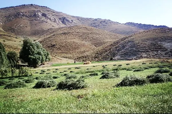 تصرف اراضی طبیعی، زنگ خطر برای تنوع زیستی کردستان