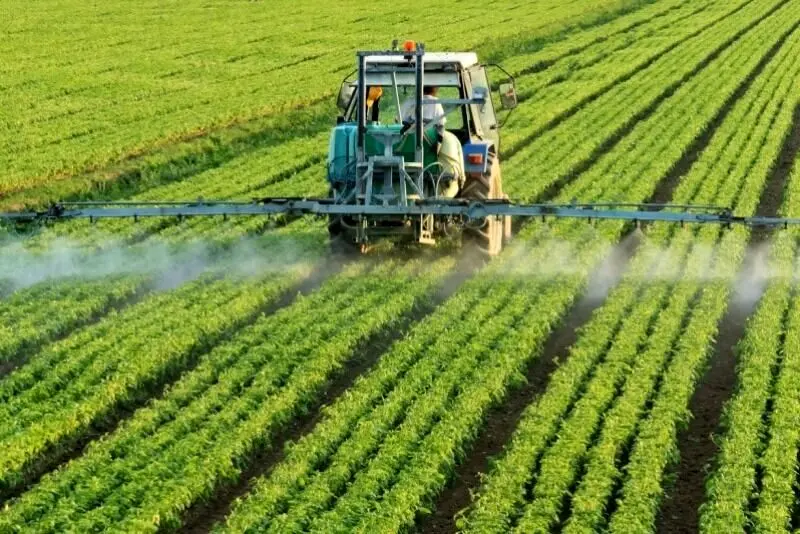 اجرای پنج طرح ملی برای آزمایش سموم کم‌خطر در مرکز تحقیقات کشاورزی هرمزگان