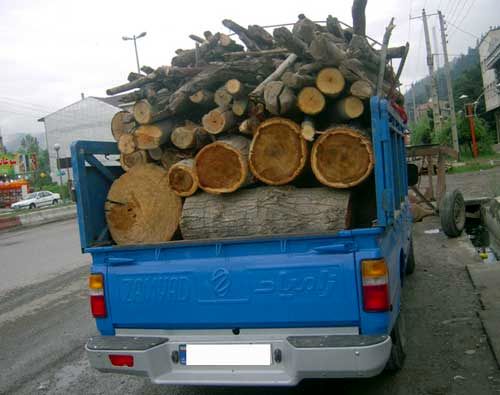 کش و ضبط7 تن چوب آلات قاچاق در مازندران