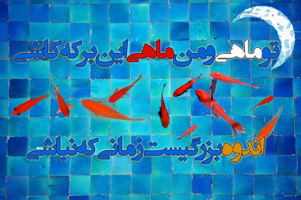 قطعه ماه و ماهی حجت اشرف زاده در رادیو ایران نقد می شود