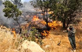 آتش سوزی در جنگل های بلوط بخش الوار اندیمشک