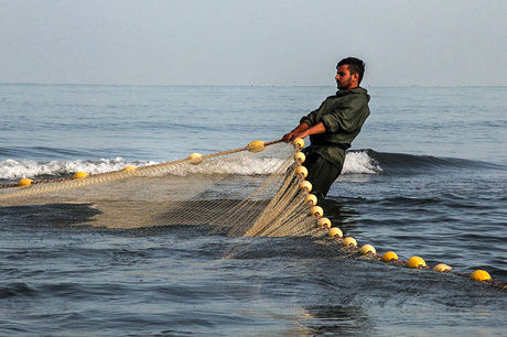  صید ماهی حلوا سفید تا اطلاع ثانوی در آبهای خوزستان ممنوع شد
