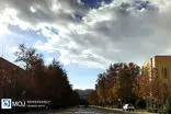 کیفیت هوای تهران ۱۴ فروردین ۱۴۰۴ / شاخص کیفیت هوای تهران روی عدد ۵۸ و سالم است