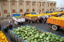صادرات ۴۵ میلیون دلاری کالاهای کشاورزی از گمرکات آذربایجان شرقی
