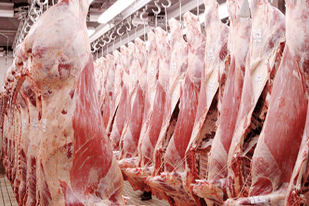 افزایش قیمت گوشت قرمز در اصفهان