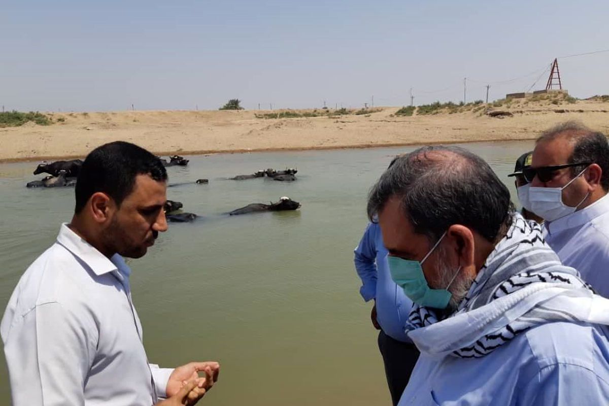 دولت باید پاسخگوی ضرر و زیان های ناشی از سو مدیریت آب در استان خوزستان باشد