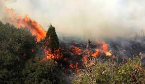وقوع آتش سوزی در جنگل روستای«بندپی» نوشهر