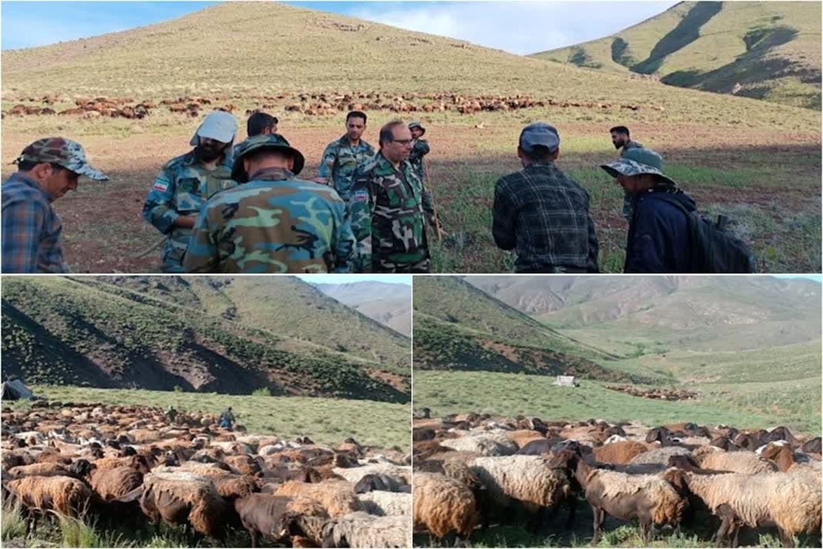 اخراج بیش از ۱۰۰۰۰ رأس دام غیر مجاز از مراتع شهرستان قزوین