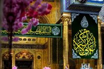 کربلا در شب میلاد حضرت علی اکبر (ع) +عکس