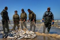 پایان فصل صید در دریای مازندران