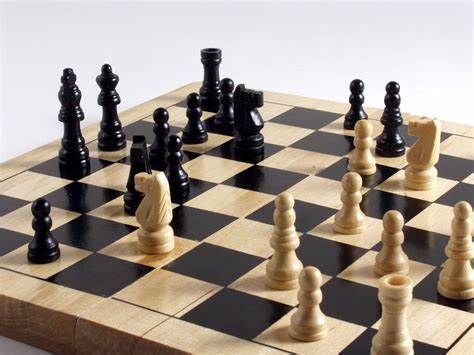 رئیس فدراسیون شطرنج سرمربیان تیم های ملی را معرفی کرد