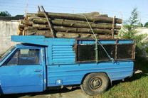 ۳ و نیم تن چوب جنگلی قاچاق در چنگال پلیس قائم شهر 