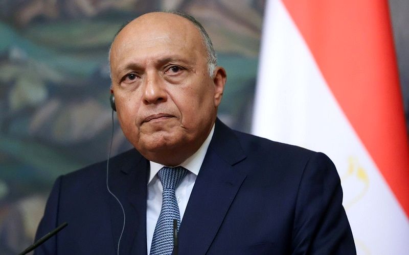 وزیر خارجه مصر وارد تهران شد