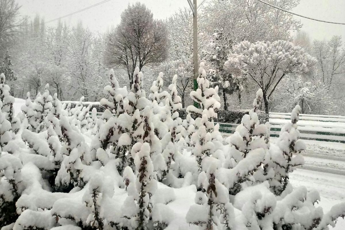 بارش برف در شهرستان‌های غربی استان اصفهان / بارش 15 سانتیمتری برف در فریدونشهر