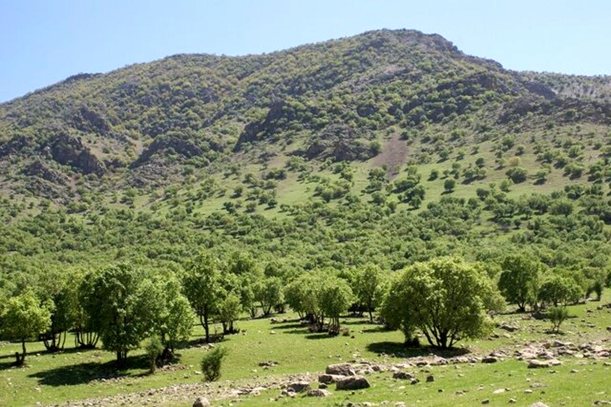 خراسان رضوی دارای ۴۰ کیلومتر کمربند حفاظتی اراضی ملی است 