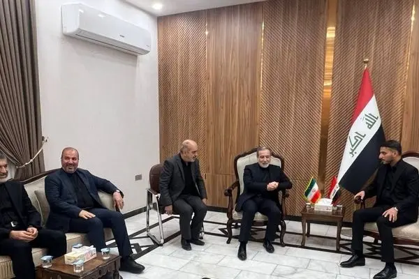 وزیر امور خارجه وارد نجف اشرف شد