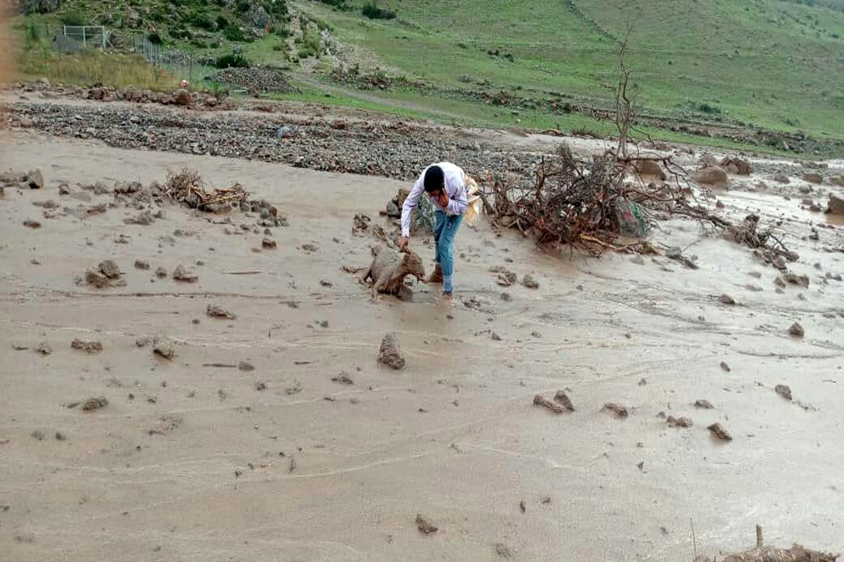 از تخریب و انسداد راه های روستایی تا تلف شدن صدها رأس دام در بخش کجور مازندران