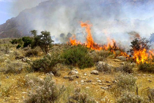 آتش سوزی پیاپی در تپه صیادشیرازی گرگان/ احتمال عمدی بودن حریق