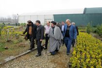 افتتاح دو طرح گلخانه ای در عباس آباد با هزینه 90 میلیاردی