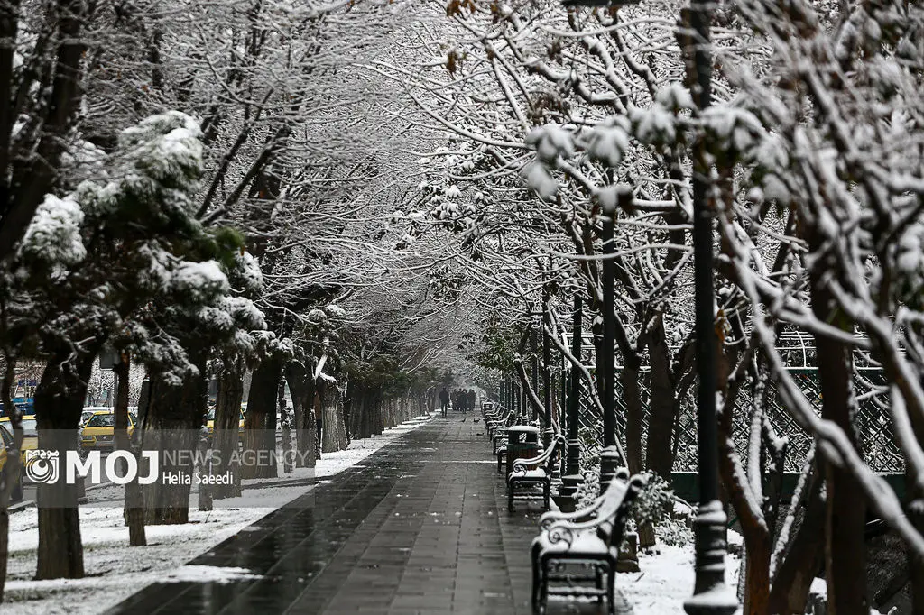 بارش و سرما هفته آینده مهمان کشور است